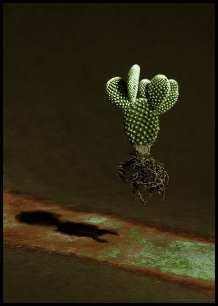 Still Life with a floating Cactus