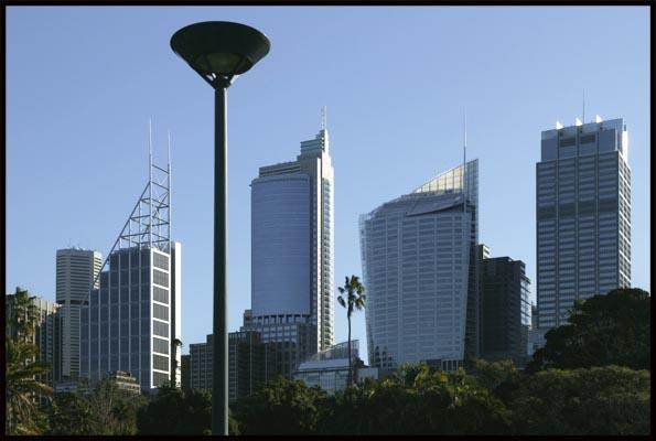 Sydney city skyscrapers from the Botanic Garden